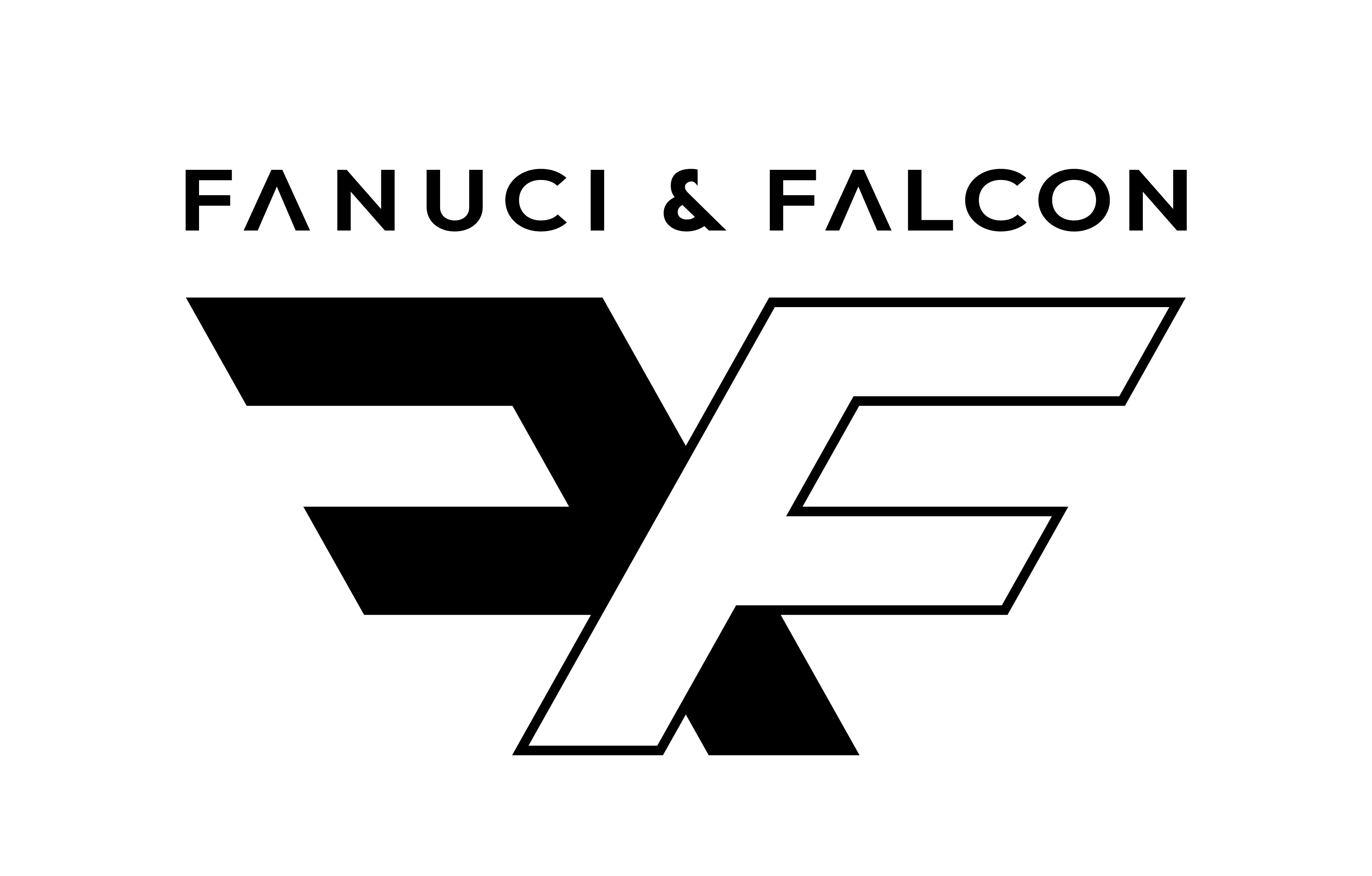FANUCI & FALCON SPÓŁKA Z OGRANICZONĄ ODPOWIEDZIALNOŚCIĄ
