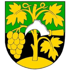 Město Oslavany