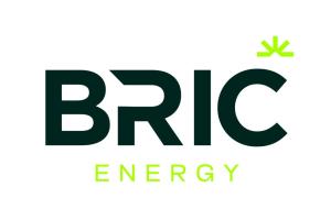 BRIC HOLDING SE